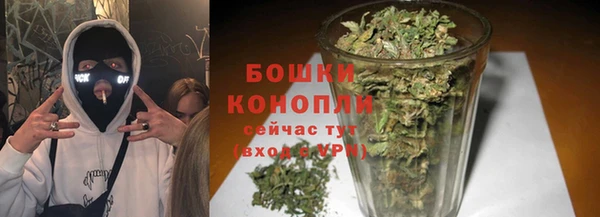 прущая мука Богданович