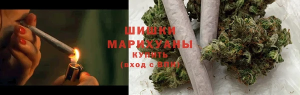 ПСИЛОЦИБИНОВЫЕ ГРИБЫ Белокуриха
