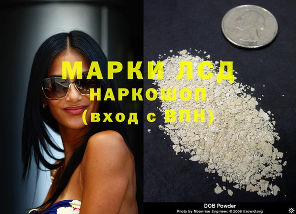 ПСИЛОЦИБИНОВЫЕ ГРИБЫ Белокуриха