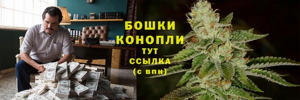 ПСИЛОЦИБИНОВЫЕ ГРИБЫ Белокуриха