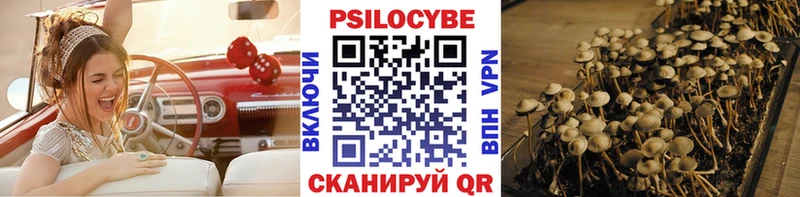 Псилоцибиновые грибы ЛСД  Купить где  Ершов 